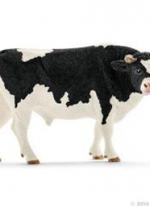 Byk rasy Holstein