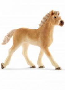 Źrebię rasy Haflinger