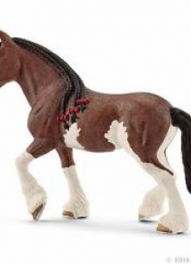 Klacz rasy Clydesdale