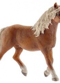 Ogier rasy Haflinger