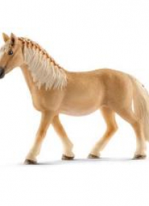 Klacz rasy Haflinger