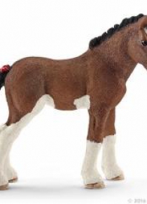 Źrebię rasy Clydesdale