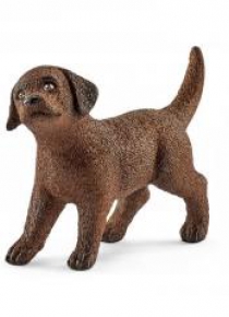 Labrador Retrieve szczeniak