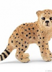 Młody Gepard