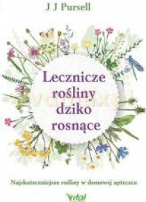 Lecznicze rośliny dziko rosnące. Najskuteczniejsze