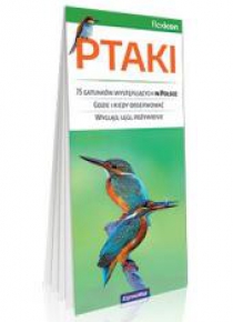 Ptaki