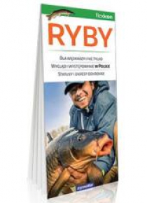 Ryby