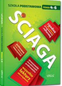 Ściąga SP 4-6 w.2017 GREG