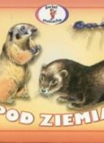 Harmonijka - pod ziemią