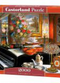 Puzzle 2000 Ensemble CASTOR