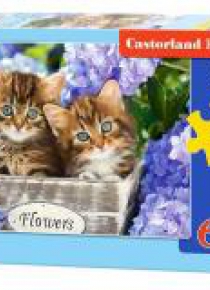 Puzzle 60 Cute Kittens CASTOR
