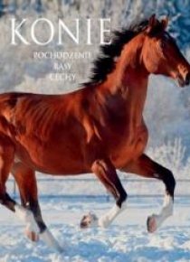 Konie. Pochodzenie. Rasy. Cechy