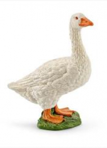 Gęś