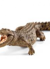 Krokodyl