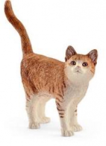 Kot