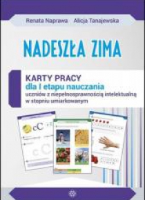 Nadeszła zima Karty pracy sztywna teczka
