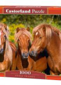 Puzzle 1000 Przyjaciele CASTOR