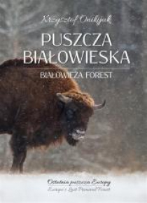 Puszcza Białowieska. Ostatnia puszcza Europy