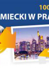 Niemiecki w pracy 100 Fiszek