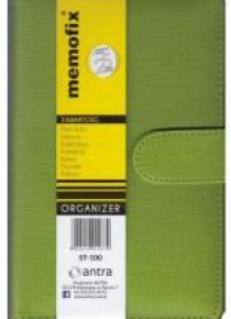 Organizer Memofix 2 ST 100 zielony