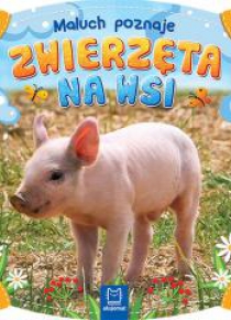 Maluch poznaje zwierzęta na wsi