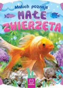 Maluch poznaje małe zwierzęta