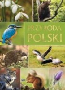Przyroda Polski
