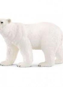 Niedźwiedź polarny