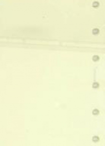 Wkład do organizera MEM/K Notes ANTRA