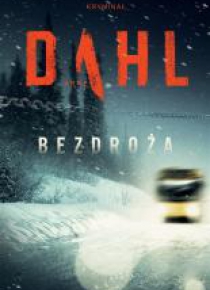 Bezdroża