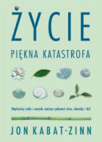 Życie, piękna katastrofa