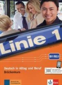 Linie 1 B1+/B2.1 pod. z ćwicz. + DVD LEKTORKLETT