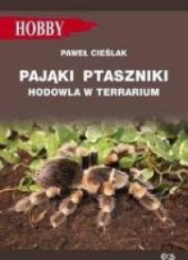 Pająki ptaszniki w terrarium
