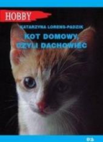 Kot domowy czyli dachowiec