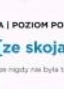 Fiszki ze skojarzeniami. Angielski poziom podst.I