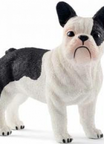 Buldog Francuski