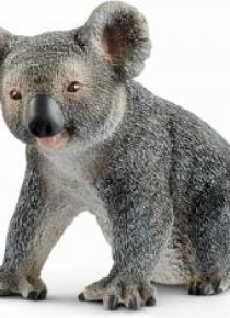 Miś Koala