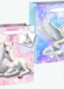 Torebka upominkowa KR 2115 L