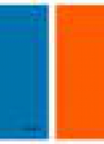 Zeszyt A5/60K kratka Colors (5szt)