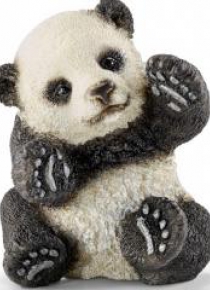 Mała bawiąca się Panda