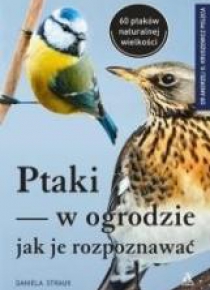 Ptaki w ogrodzie - jak je rozpoznawać