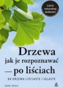Drzewa - jak je rozpoznawać po liściach