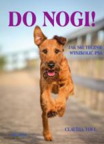 Do nogi! Jak skutecznie wyszkolić psa