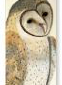 Zakładka do książki Owl