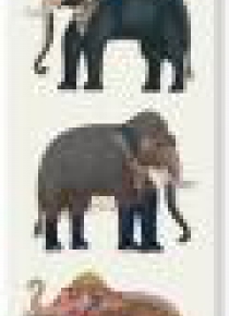 Zakładka do książki Elephants