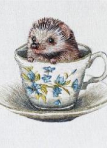 Karnet kwadrat z kopertą Baby Hedgehog
