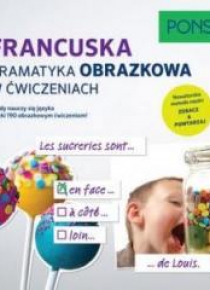 Gramatyka obrazkowa w ćwiczeniach - Francuski PONS