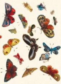 Karnet z kopertą Butterfly design decorati