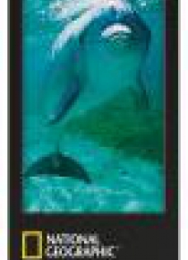 National Geographic Zakładka 3D Delfin