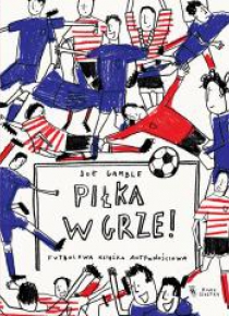 Piłka w grze